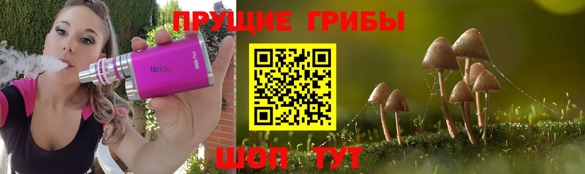 Галлюциногенные грибы Magic Shrooms  Галлюциногенные грибы GOLDEN TEACHER  Вход с VPN  Усть-Илимск 